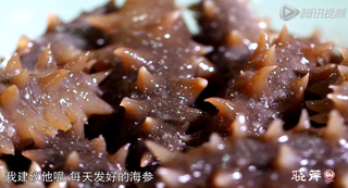 海參進(jìn)補(bǔ)從娃娃抓起，兒童吃海參的好處！